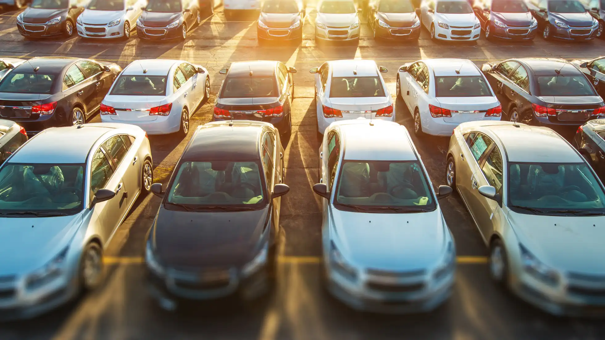 Cars Trading
