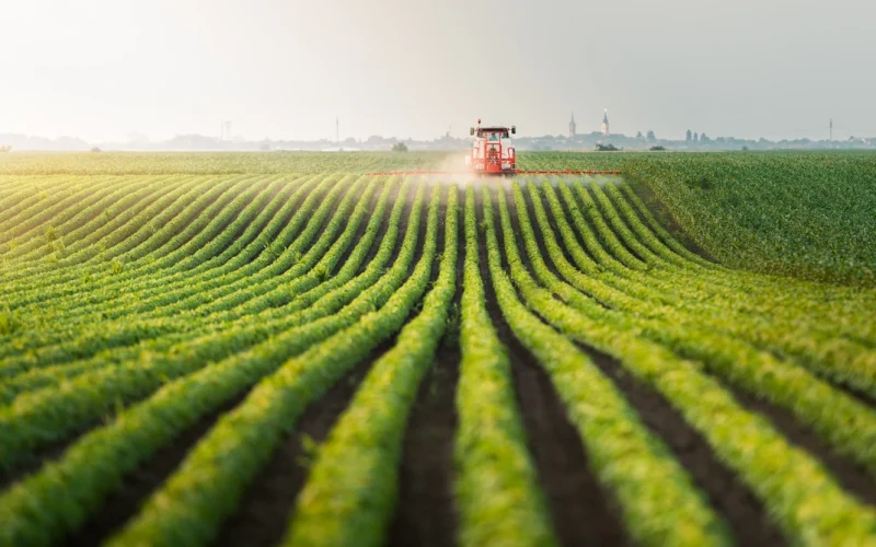 Agricultural Commodities